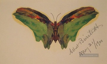  Bier Malerei - Schmetterling luminism Albert Bier